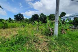 Residential Lot for Sale in Tower Isle