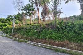 Residential Lot for Sale in Runaway Bay