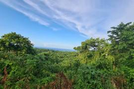 Residential Lot for Sale in Runaway Bay