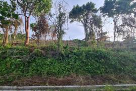 Residential Lot for Sale in Runaway Bay