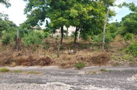 Residential Lot for Sale in Tower Isle