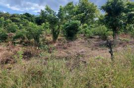 Residential Lot for Sale in Tower Isle