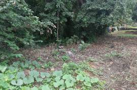 Residential Lot for Sale in Buff Bay