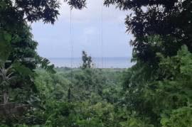 Residential Lot for Sale in Buff Bay