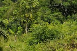 Residential Lot for Sale in Kingston 8