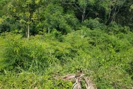 Residential Lot for Sale in Kingston 8