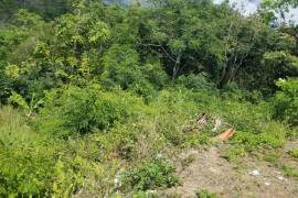 Residential Lot for Sale in Kingston 8