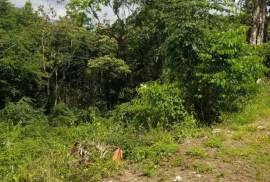 Residential Lot for Sale in Kingston 8