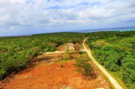 Residential Lot for Sale in Duncans