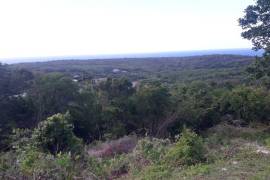 Residential Lot for Sale in Duncans