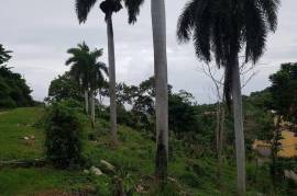 Residential Lot for Sale in Montego Bay