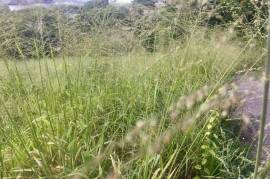 Residential Lot for Sale in Montego Bay