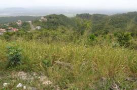 Residential Lot for Sale in Kingston 19