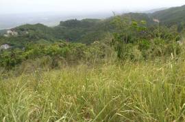 Residential Lot for Sale in Kingston 19