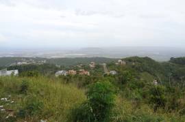 Residential Lot for Sale in Kingston 19