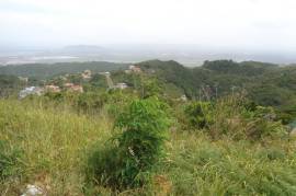 Residential Lot for Sale in Kingston 19