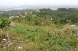 Residential Lot for Sale in Kingston 19