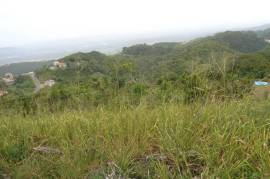 Residential Lot for Sale in Kingston 19