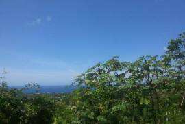 Residential Lot for Sale in Runaway Bay