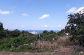 Residential Lot for Sale in Discovery Bay