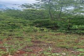 Residential Lot for Sale in Guanaboa Vale