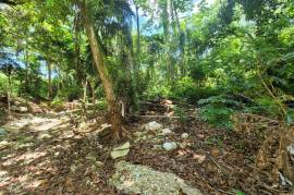 Residential Lot for Sale in Runaway Bay