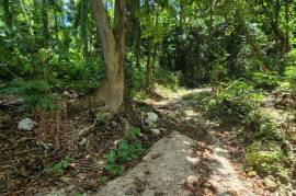 Residential Lot for Sale in Runaway Bay