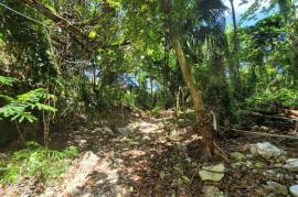 Residential Lot for Sale in Runaway Bay