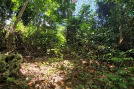 Residential Lot for Sale in Runaway Bay