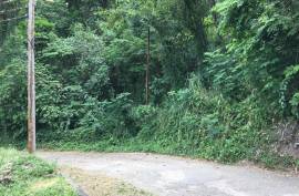 Residential Lot for Sale in Kingston 6