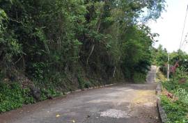 Residential Lot for Sale in Kingston 6