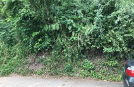 Residential Lot for Sale in Kingston 6