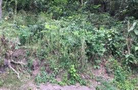 Residential Lot for Sale in Kingston 6