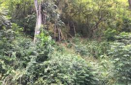 Residential Lot for Sale in Kingston 6