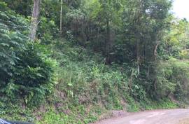 Residential Lot for Sale in Kingston 6