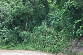 Residential Lot for Sale in Kingston 6