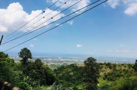 Residential Lot for Sale in Kingston 6