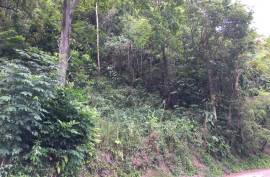 Residential Lot for Sale in Kingston 6