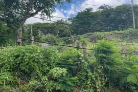 Residential Lot for Sale in Kingston 9