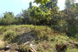 Residential Lot for Sale in Kingston 19