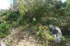 Residential Lot for Sale in Kingston 19