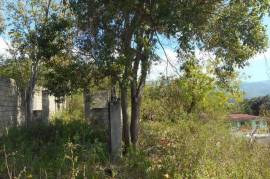 Residential Lot for Sale in Kingston 19