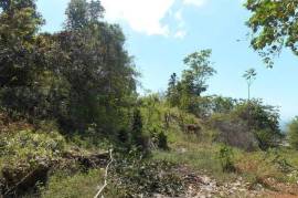 Residential Lot for Sale in Kingston 19