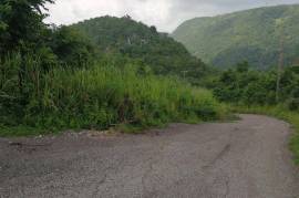 Residential Lot for Sale in Kingston 19