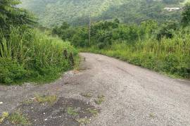 Residential Lot for Sale in Kingston 19