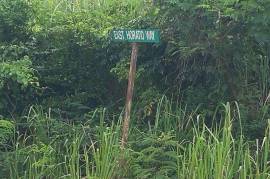 Residential Lot for Sale in Kingston 19