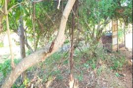 Residential Lot for Sale in Four Paths