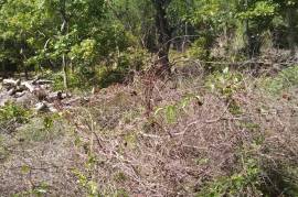 Residential Lot for Sale in Black River