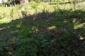 Residential Lot for Sale in Black River