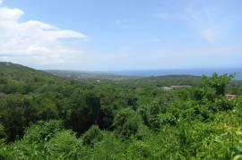 Residential Lot for Sale in Runaway Bay